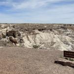 2023OTRA_703 (May 07, 2023)